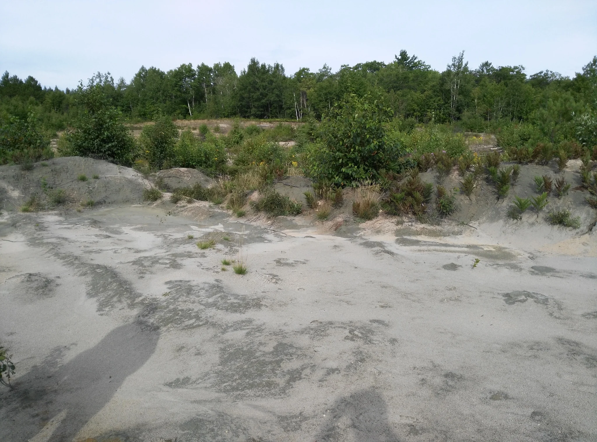 Project gallery image 1