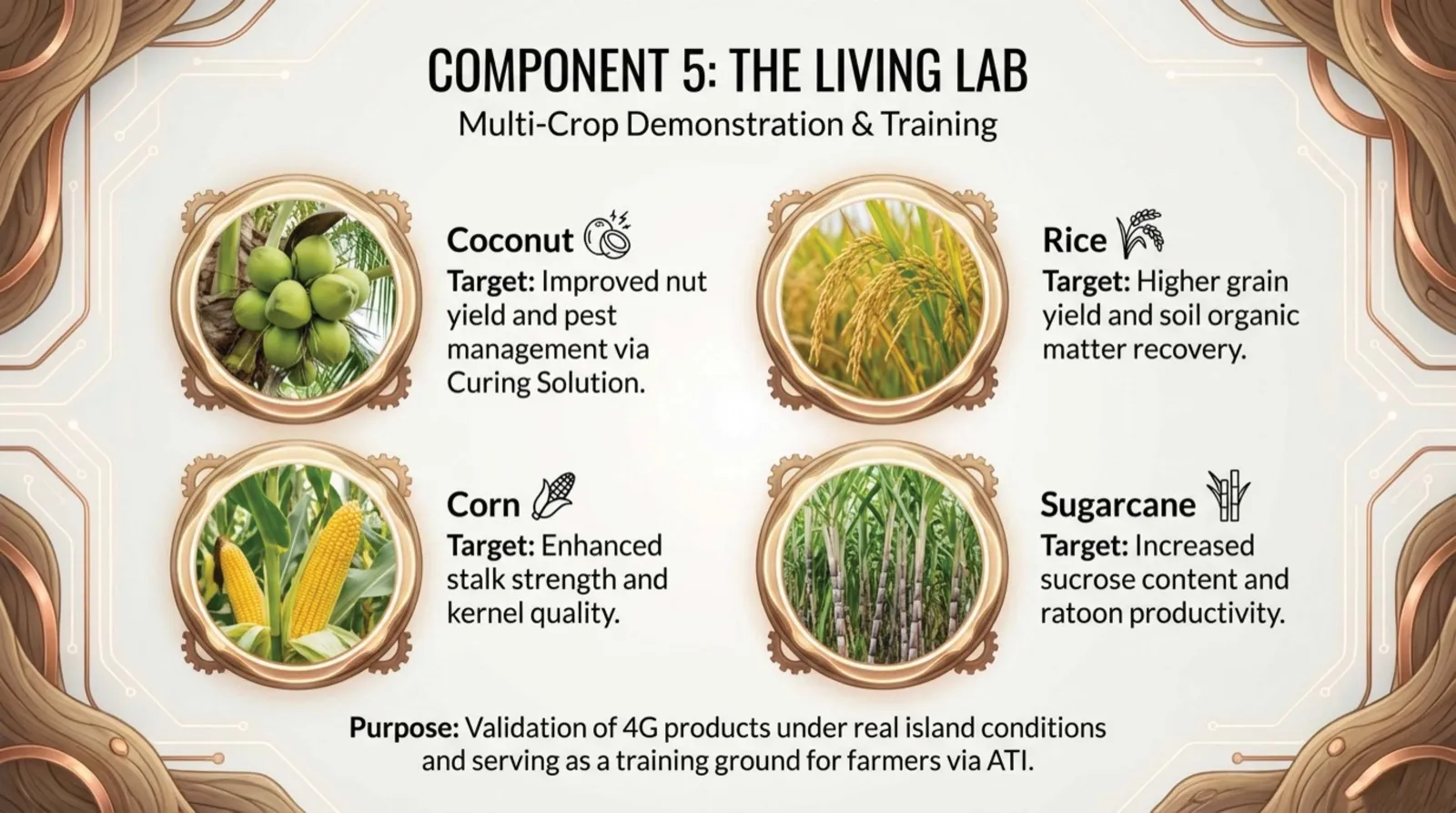 Green Gold Global (4G) Biotech - 5