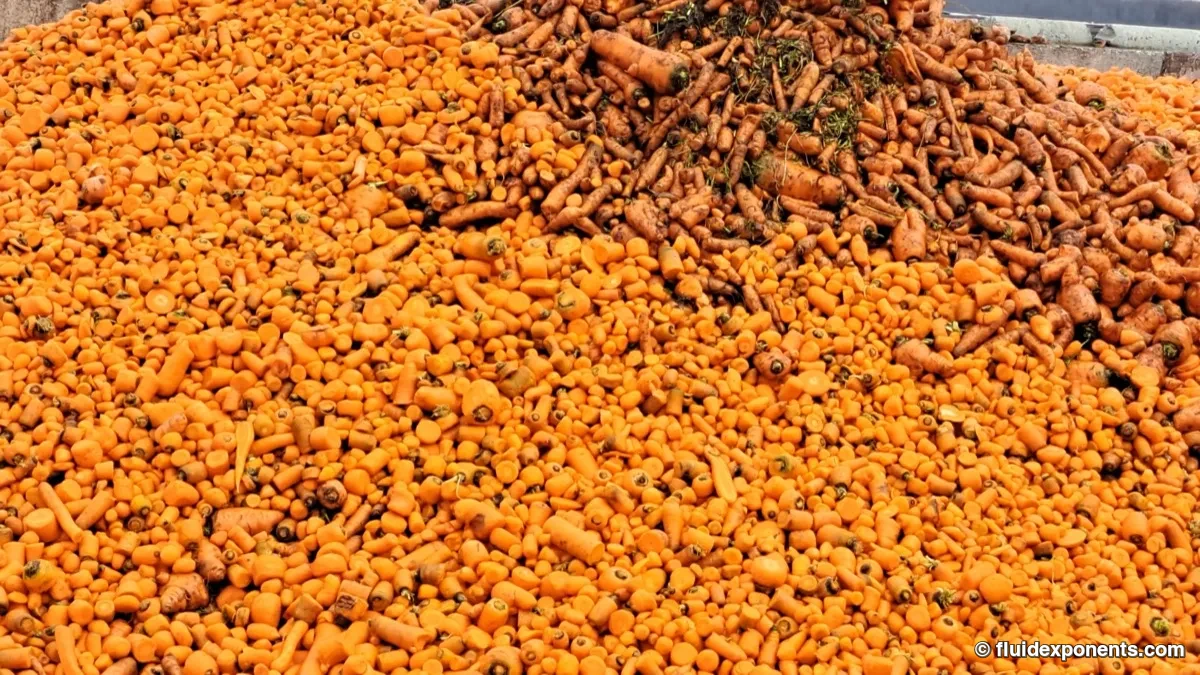 Ethanol Extraction from Carrot Rejects